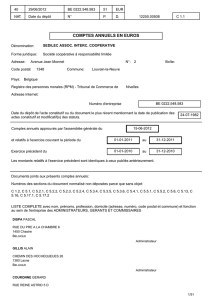 COMPTES ANNUELS EN EUROS