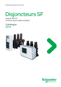 Disjoncteurs SF - Schneider Electric Belgique