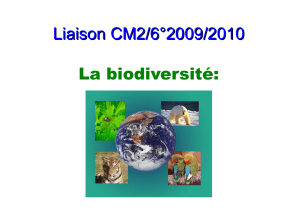 Liaison CM2/6°2009/2010 La biodiversité: