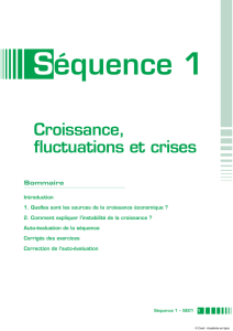 Croissance, fluctuations et crises