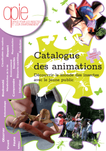 Catalogue des animations