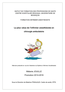 La plus value de l`infirmier anesthésiste en