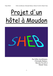 Projet d`un hôtel à Moudon