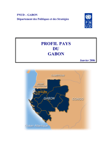 PROFIL PAYS DU GABON