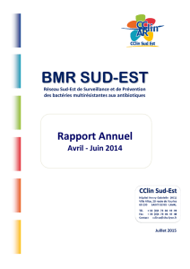2014 - CClin Sud-Est