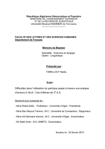 Présenté par : Sujet : Difficultés dans l`utilisation du