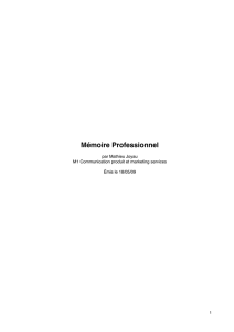 Mémoire professionnel - Publicité in-game