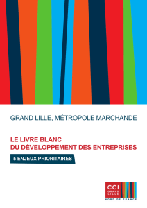 Livre Blanc OK_Mise en page 1 - CCI Hauts-de