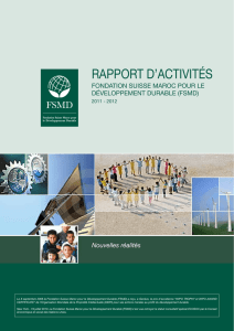 rapport d`activités
