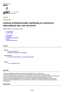 Licence professionnelle marketing et commerce international