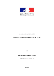 Rapport de Brigitte Bourguignon - Ministère des Affaires sociales et