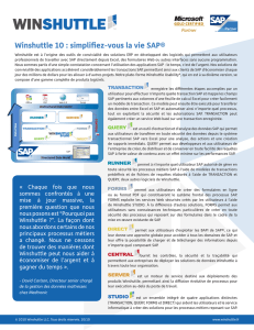 Winshuttle 10 : simplifiez-vous la vie SAP®
