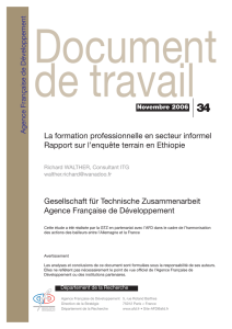 La formation professionnelle en secteur informel Rapport sur l