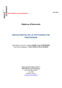 Brochure - UFR d`études psychanalytiques