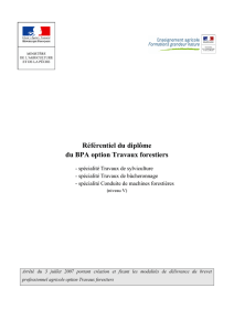 Référentiel de diplôme