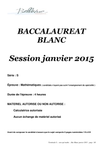 Bac Blanc janvier 2015