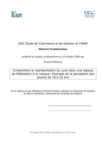 DGC Ecole de Commerce et de Gestion et CNAM - Luc Boyer