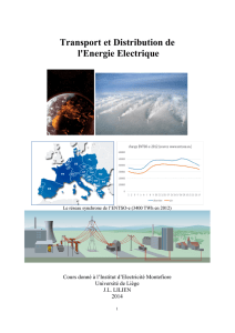 Transport et Distribution de l`Energie Electrique