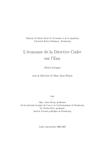 L`économie de la Directive Cadre sur l`Eau