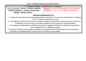 0-0-fluctuations-et-croiss-progr-et-plan-2017-i-b-pdf