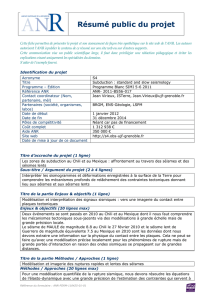 Résumé public du projet - ANR 2011 "Subduction: standard and