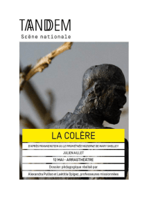 Dossier et fiche pédagogiques_La Colere