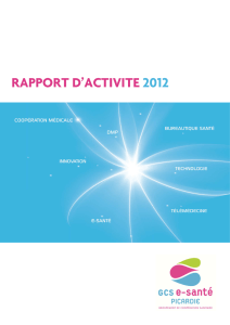 RAPPORT D`ACTIVITE 2012 - (GCS) e