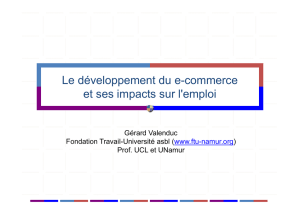 Le développement du e-commerce et ses impacts sur l`emploi