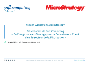 Gaëlle MANGEON - MicroStrategy