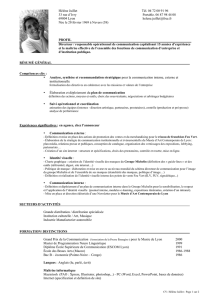 CV format PDF