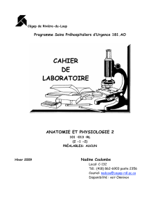 cahier de laboratoire - Cégep de Rivière-du-Loup
