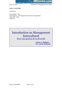 Introduction au Management Interculturel