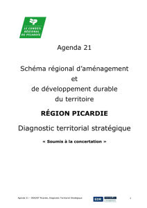 Diagnostic territorial stratégique