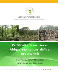 Certification forestière en Afrique: réalisations, défis et