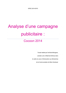 Analyse d`une campagne publicitaire