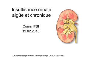 cours IFSI 2015 (IR - Centre Hospitalier de Carcassonne
