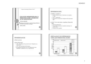 depression capa geronto toulouse 2015