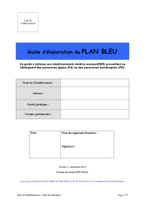 Plan bleu - Le mesnil