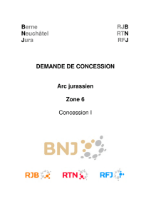 06 BNJ FM - demande et annexes