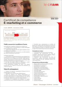 Certificat de compétence E-marketing et e
