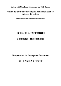 Licence Commerce International _MR HAMDAD
