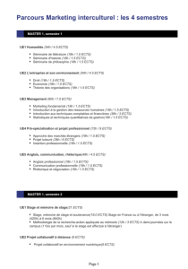 Master Humanités et Management - Parcours Marketing interculturel
