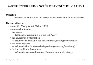 structure financière et coût du capital - Jean