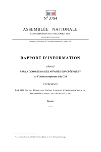 rapport d`information