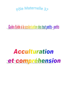 em_guide__04_accultu..