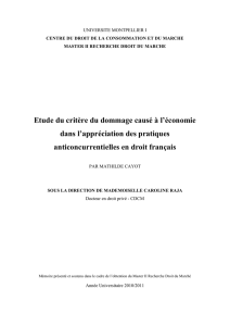 Etude du critère du dommage causé à l`économie dans l