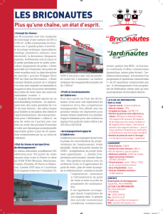 les briconautes - L`Express L`Entreprise