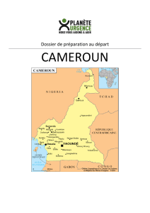 Road to Cameroun