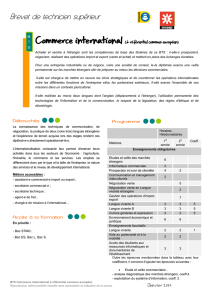 Commerce international (PDF - 533.5 ko) - CIO