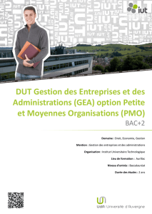 DUT Gestion des Entreprises et des Administrations (GEA) option